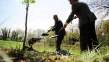 Yorkshire Water committed in 2018 to plant one million trees by 2028